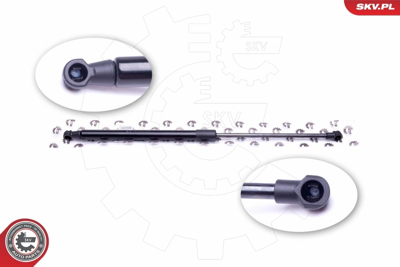 Gas Spring, boot/cargo area